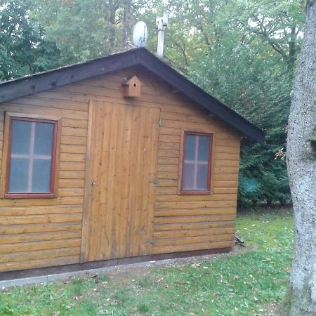Chalet Imme Villa Resteigne Eksteriør bilde
